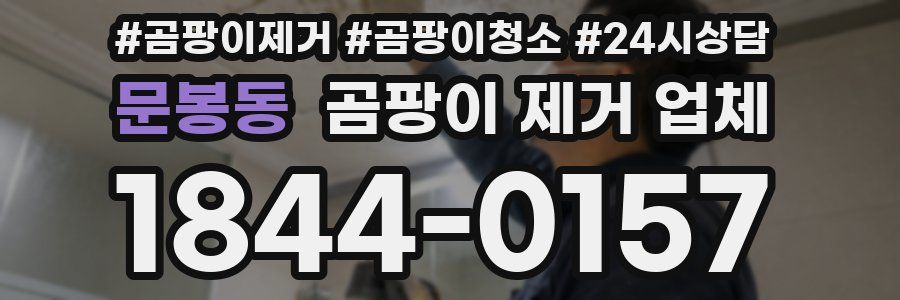 문봉동 곰팡이 제거 업체