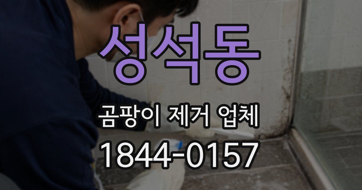 성석동 곰팡이 제거 업체