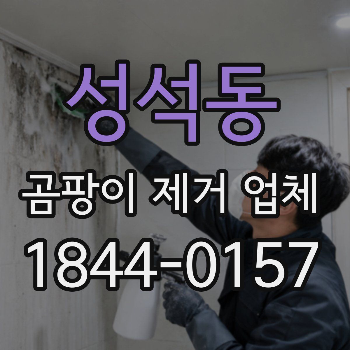 성석동 곰팡이 제거 업체