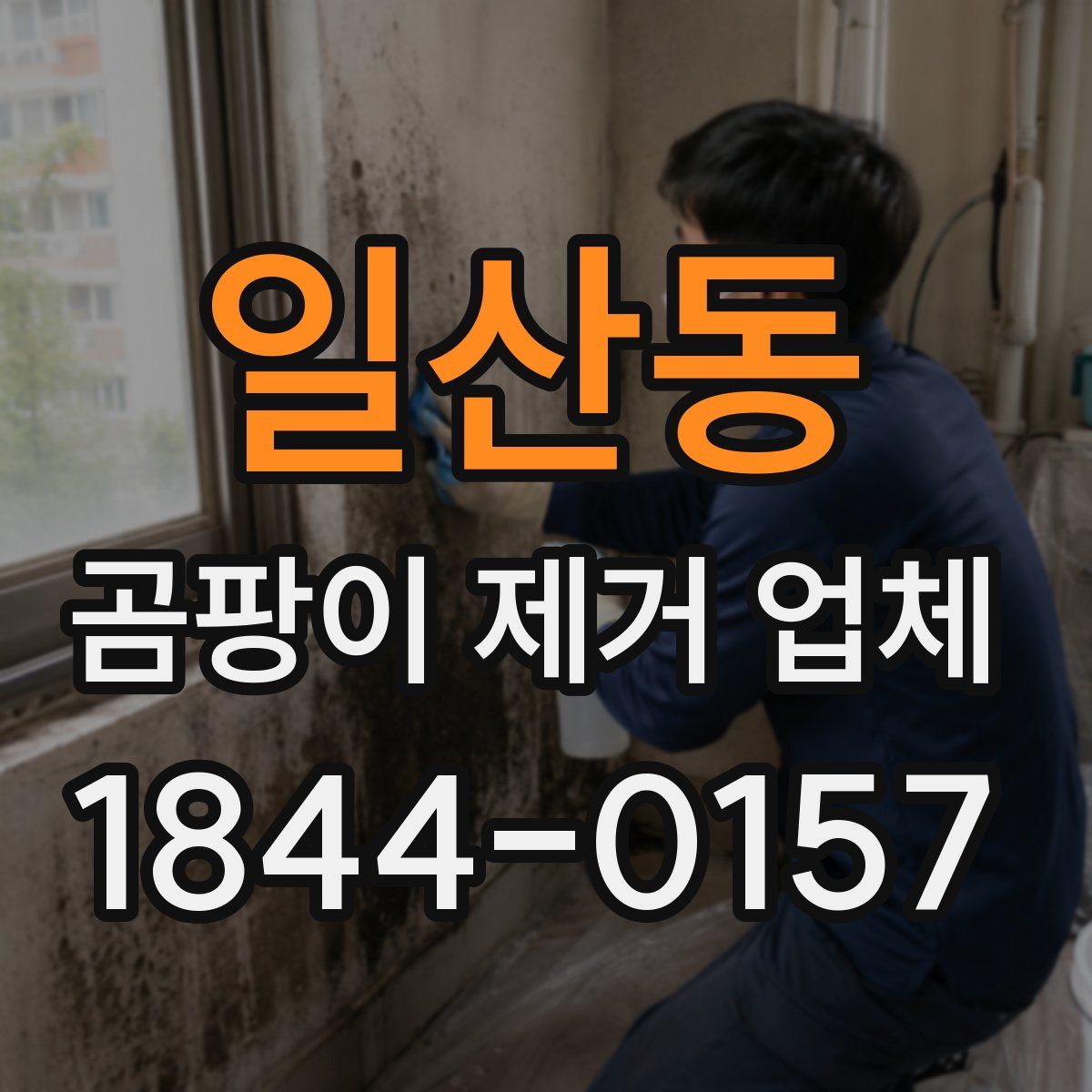 일산동 곰팡이 제거 업체