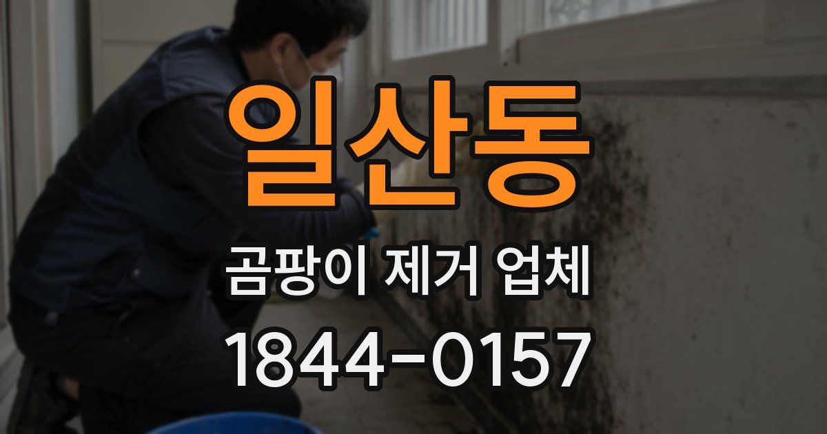 일산동 곰팡이 제거 업체