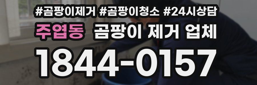 주엽동 곰팡이 제거 업체