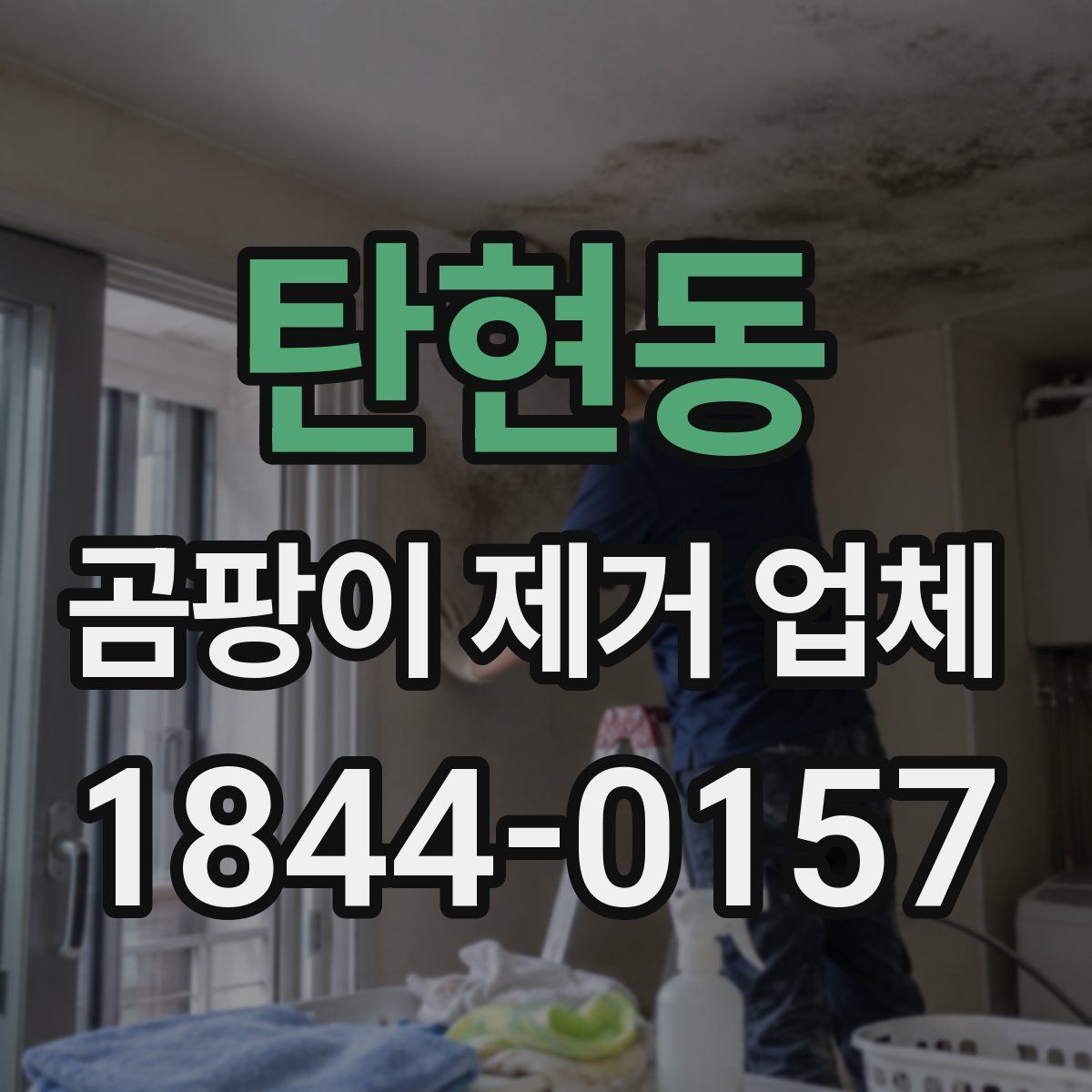 탄현동 곰팡이 제거 업체