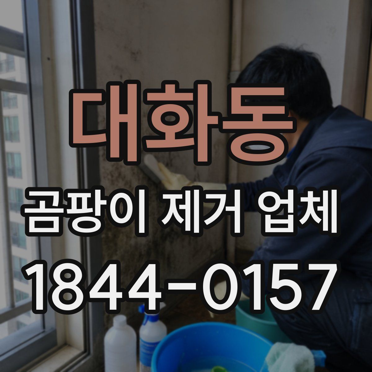 대화동 곰팡이 제거 업체