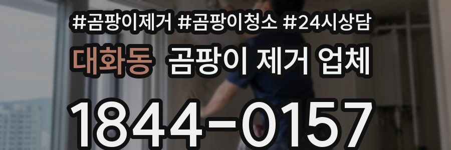 대화동 곰팡이 제거 업체