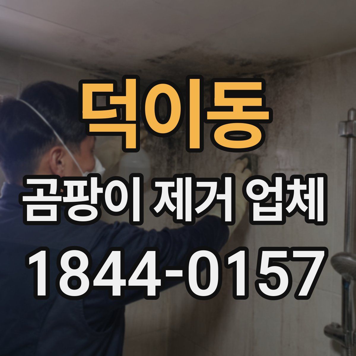 덕이동 곰팡이 제거 업체