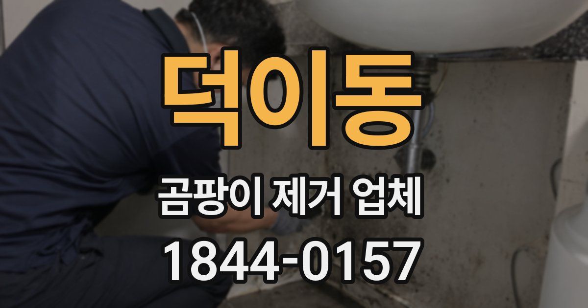 덕이동 곰팡이 제거 업체