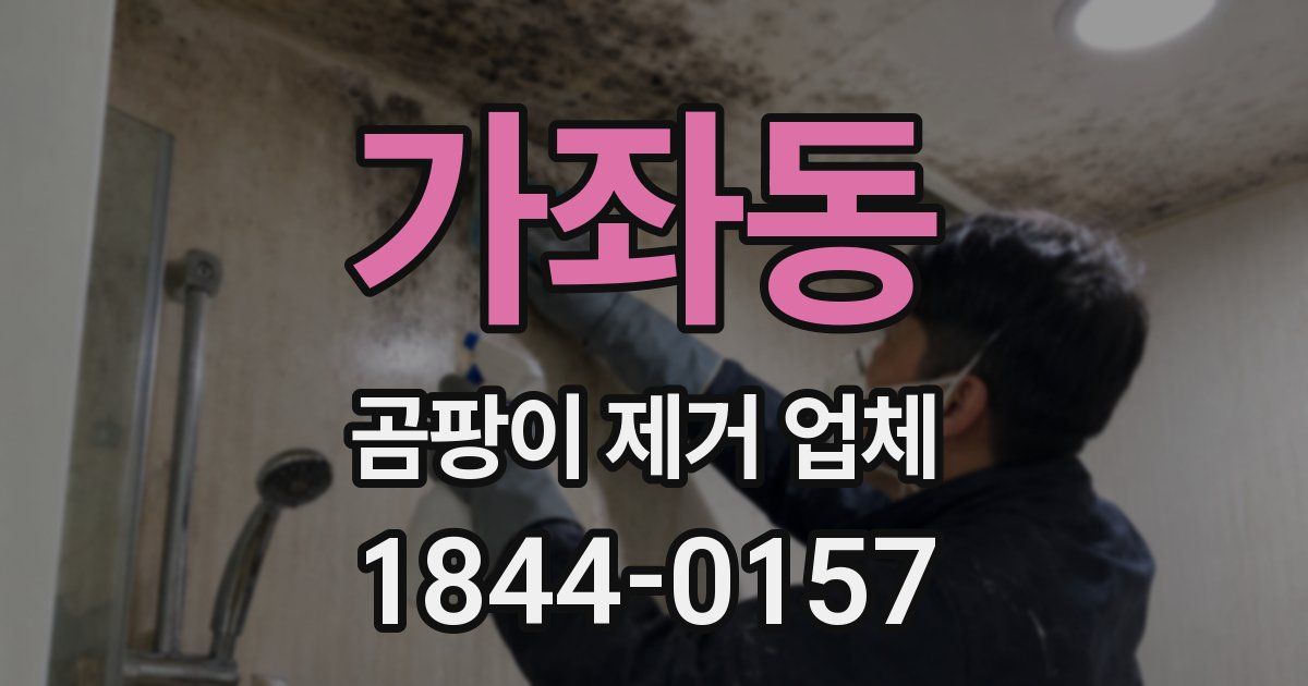 가좌동 곰팡이 제거 업체