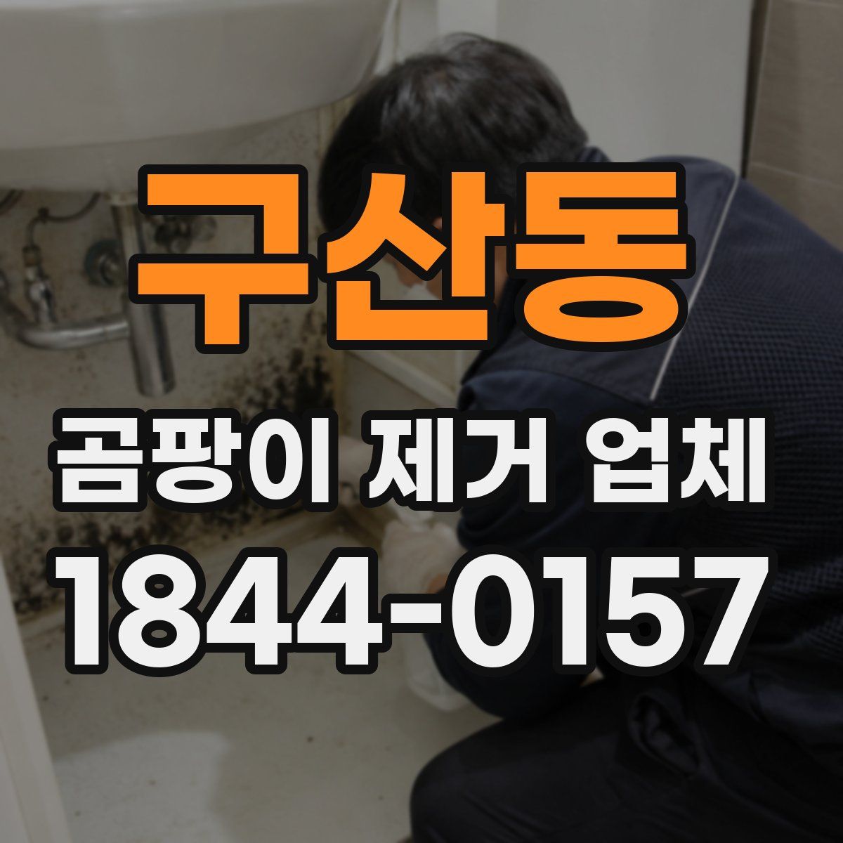 구산동 곰팡이 제거 업체