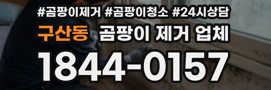 구산동 곰팡이 제거 업체