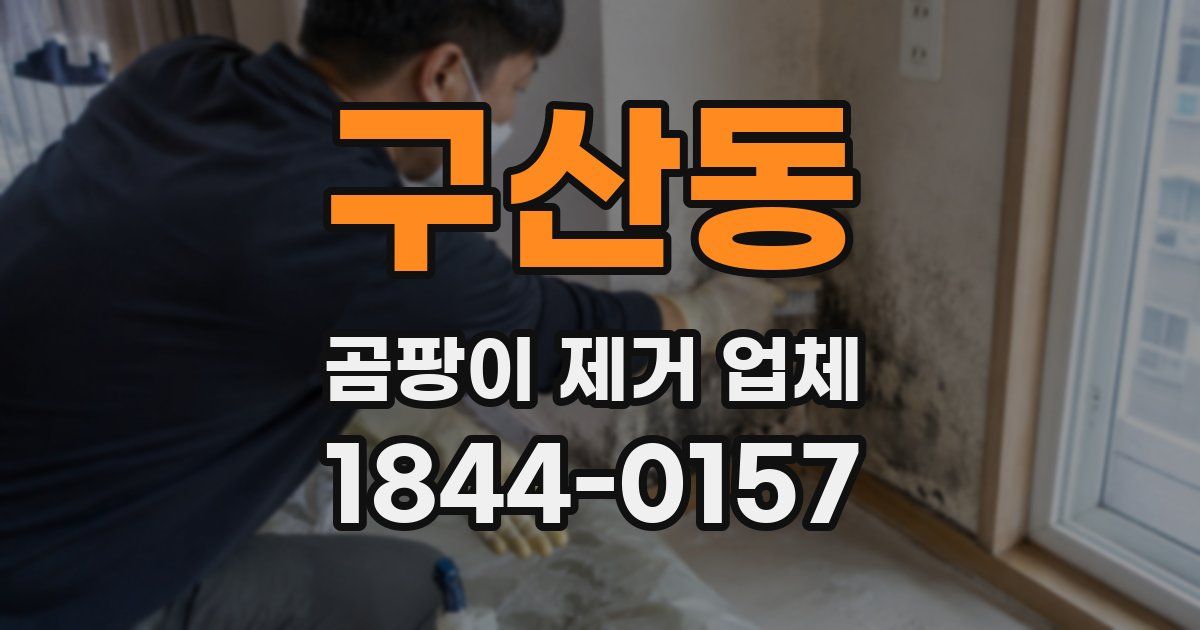 구산동 곰팡이 제거 업체