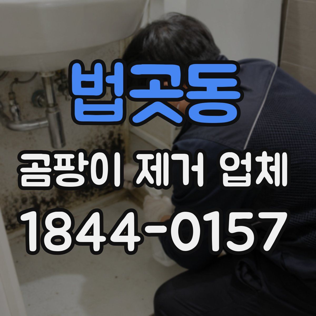 법곳동 곰팡이 제거 업체