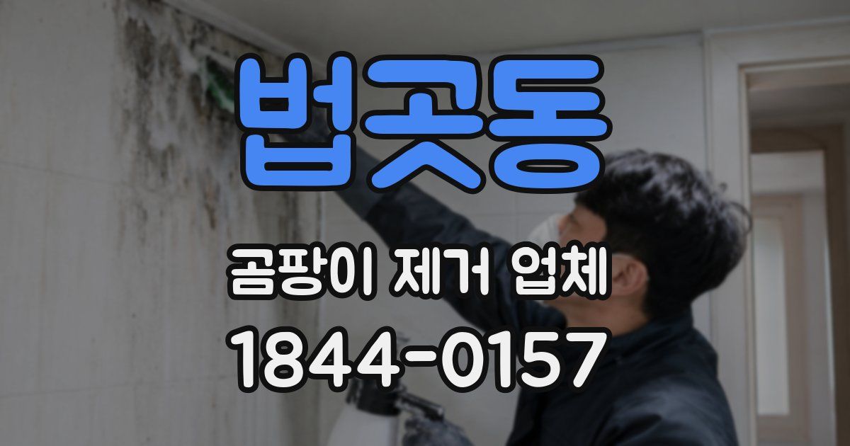 법곳동 곰팡이 제거 업체