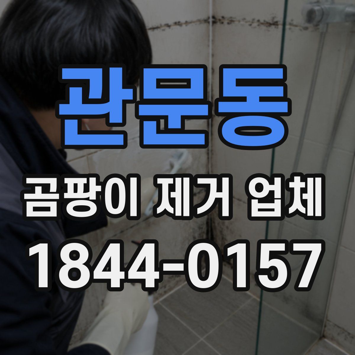 관문동 곰팡이 제거 업체