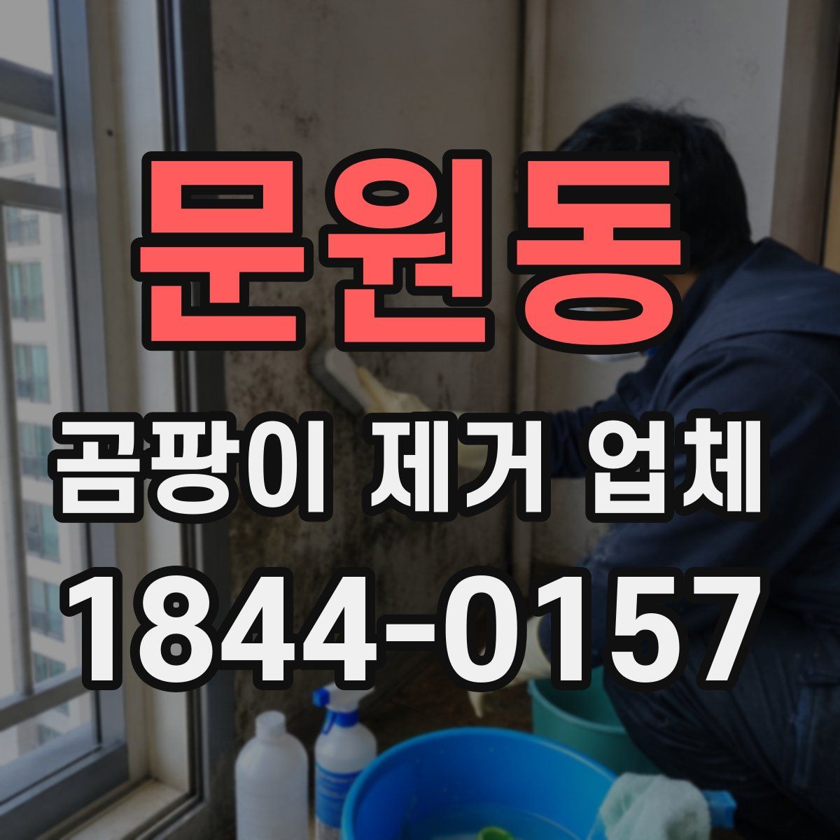 문원동 곰팡이 제거 업체