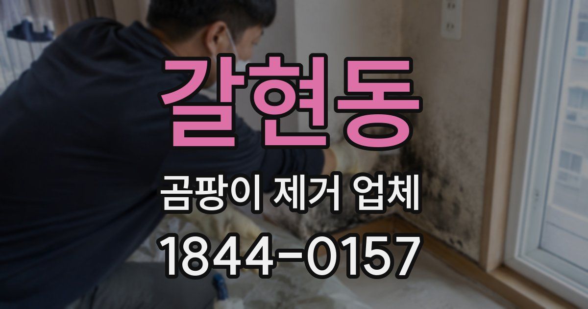 갈현동 곰팡이 제거 업체