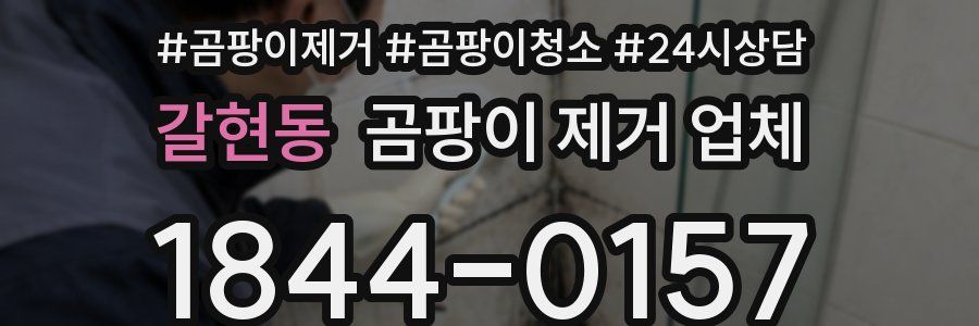 갈현동 곰팡이 제거 업체