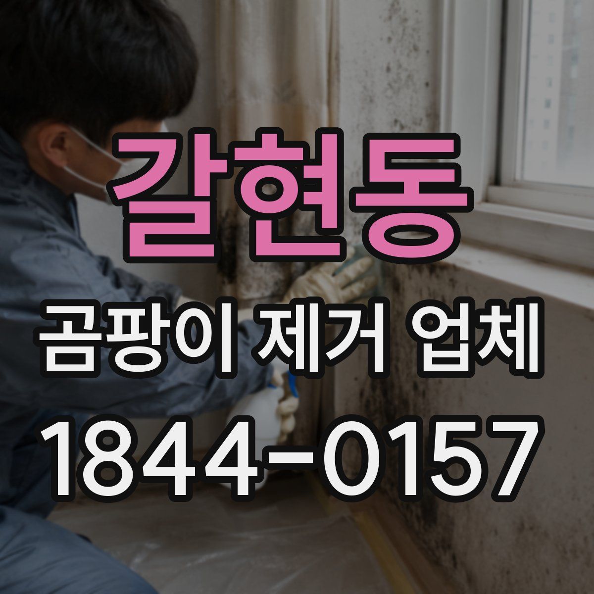 갈현동 곰팡이 제거 업체