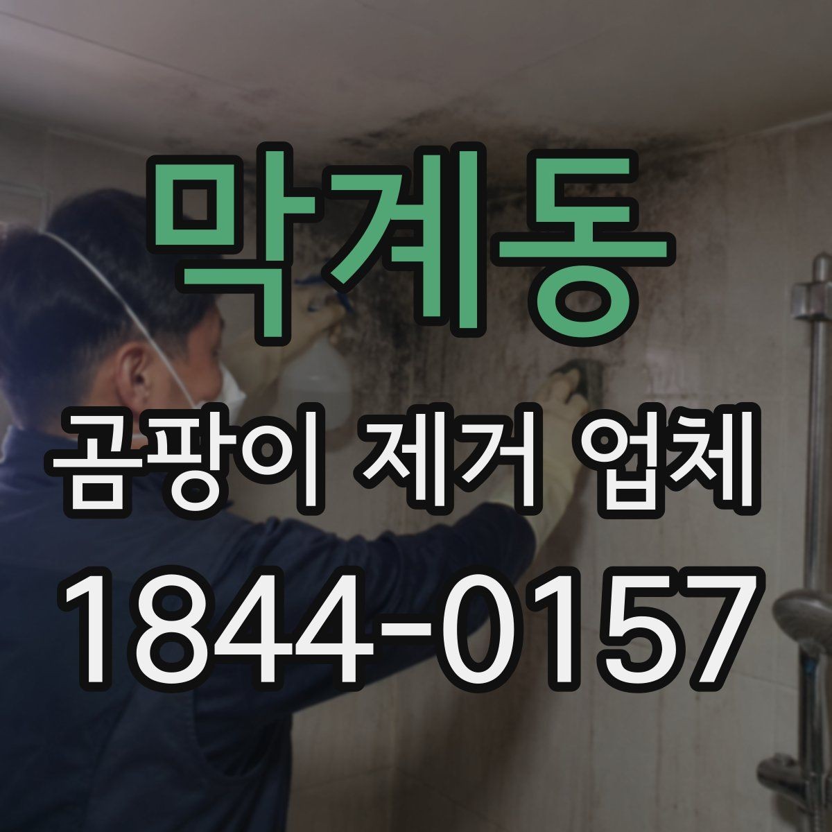 막계동 곰팡이 제거 업체 세대별 오염 확산 경로를 확인하는 절차