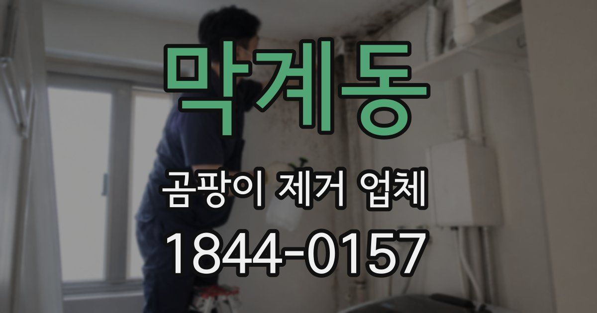 막계동 곰팡이 제거 업체