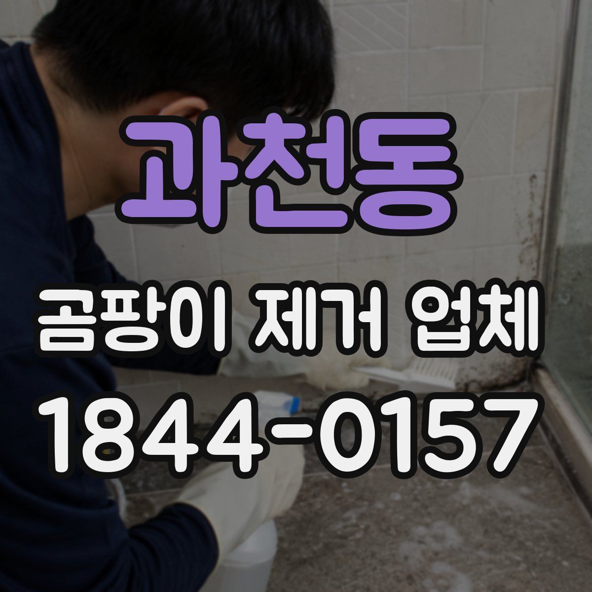 과천동 곰팡이 제거 업체