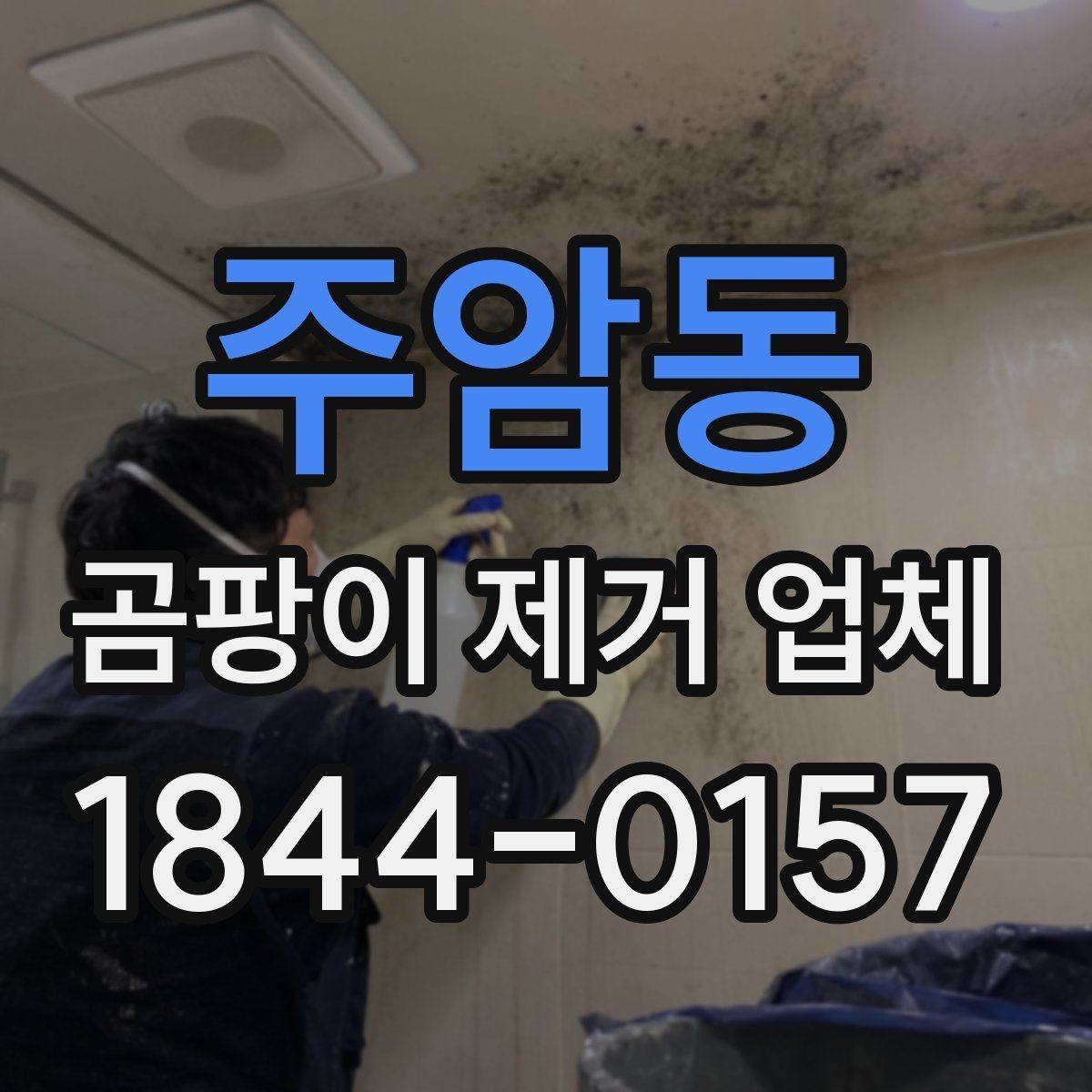 주암동 곰팡이 제거 업체 곰팡이 재발 사례와 대응 방법