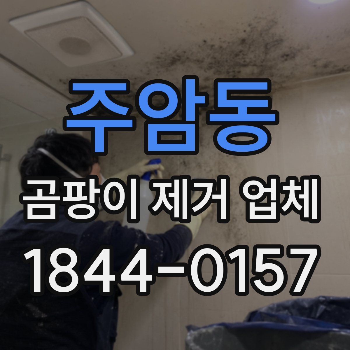 주암동 곰팡이 제거 업체