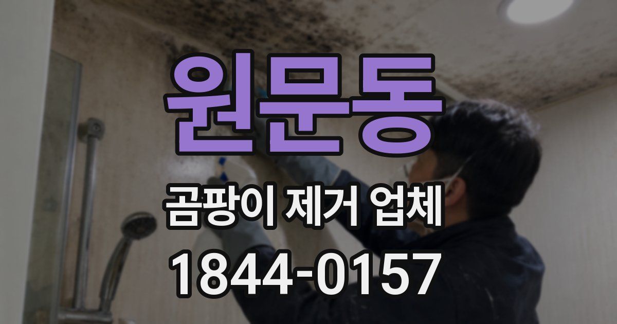 원문동 곰팡이 제거 업체