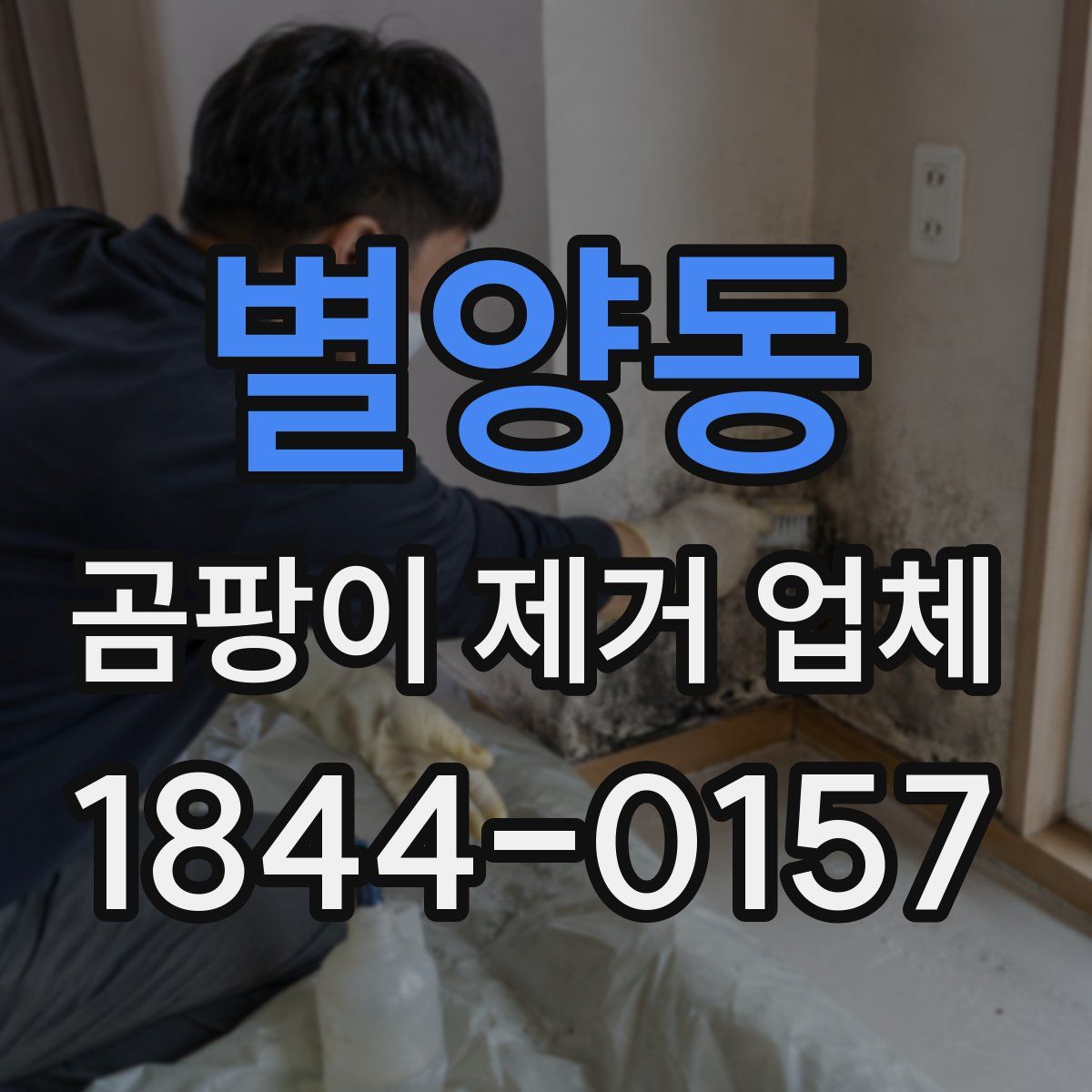 별양동 곰팡이 제거 업체