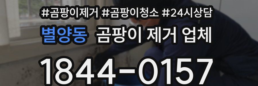 별양동 곰팡이 제거 업체
