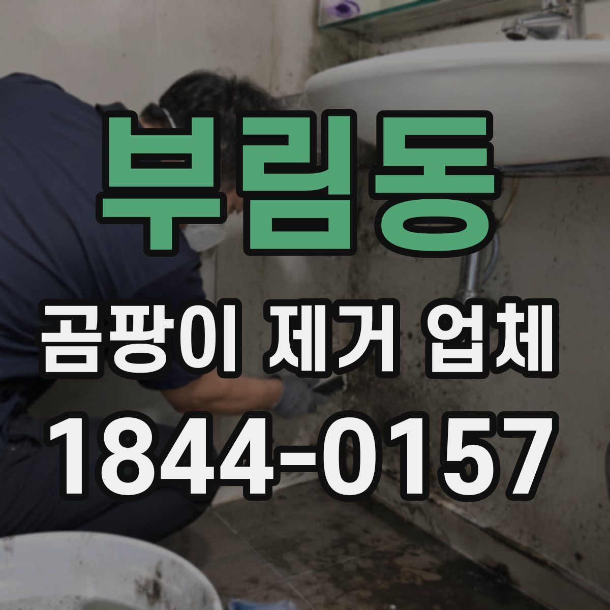부림동 곰팡이 제거 업체