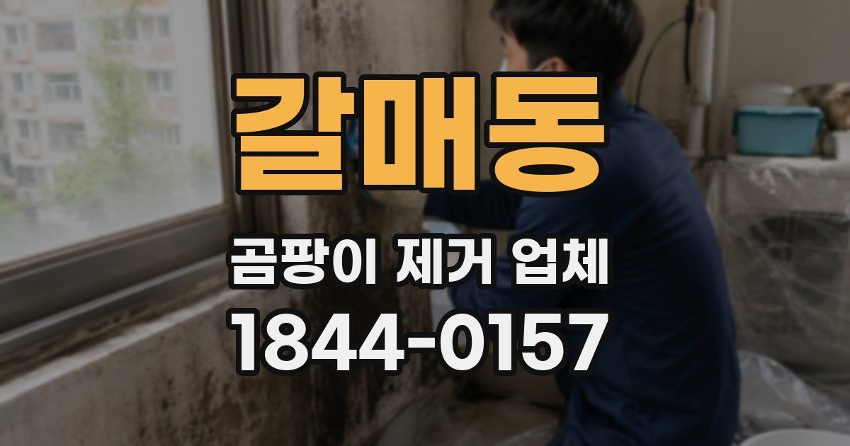갈매동 곰팡이 제거 업체