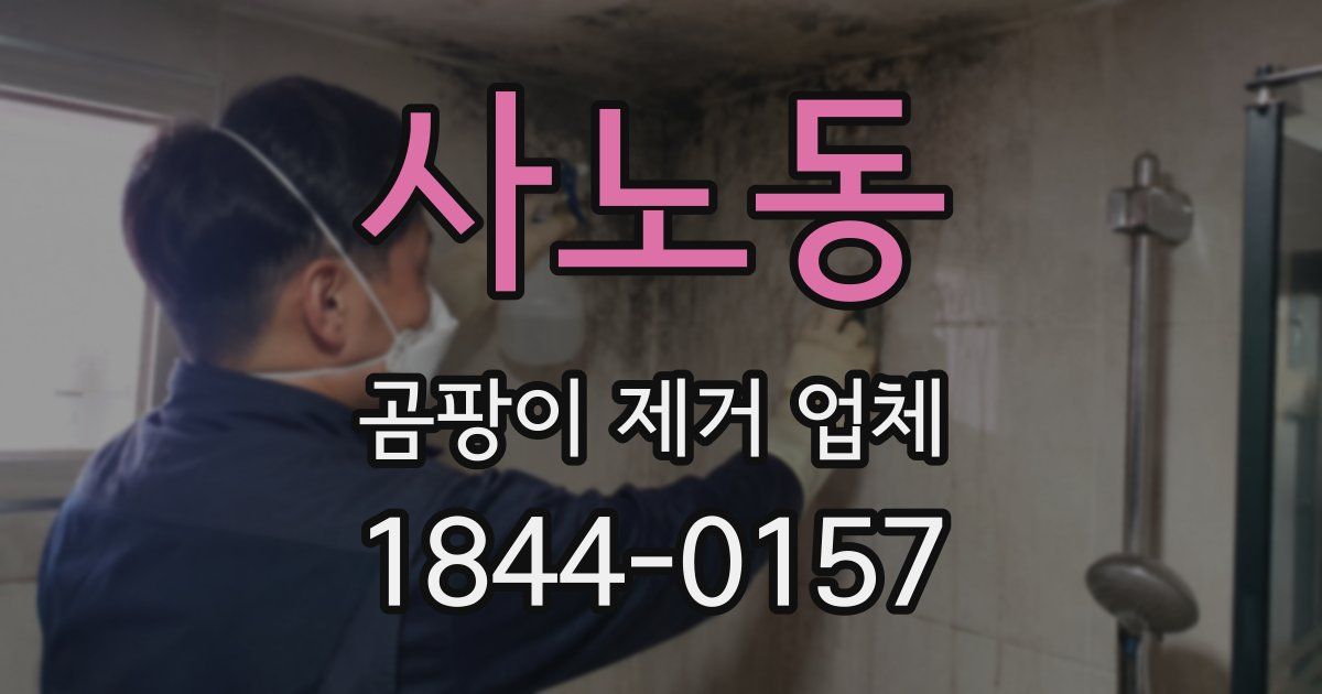 사노동 곰팡이 제거 업체
