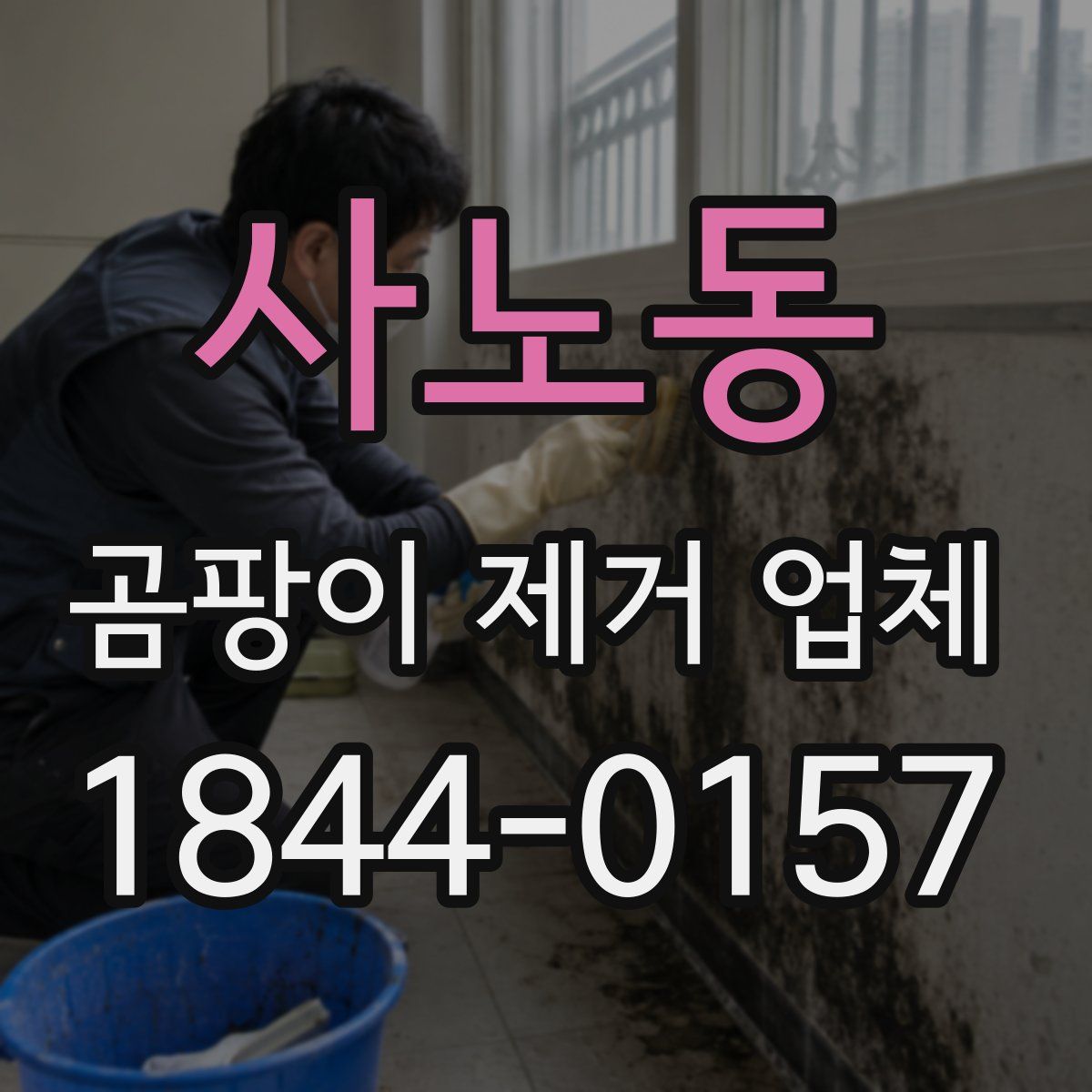 사노동 곰팡이 제거 업체