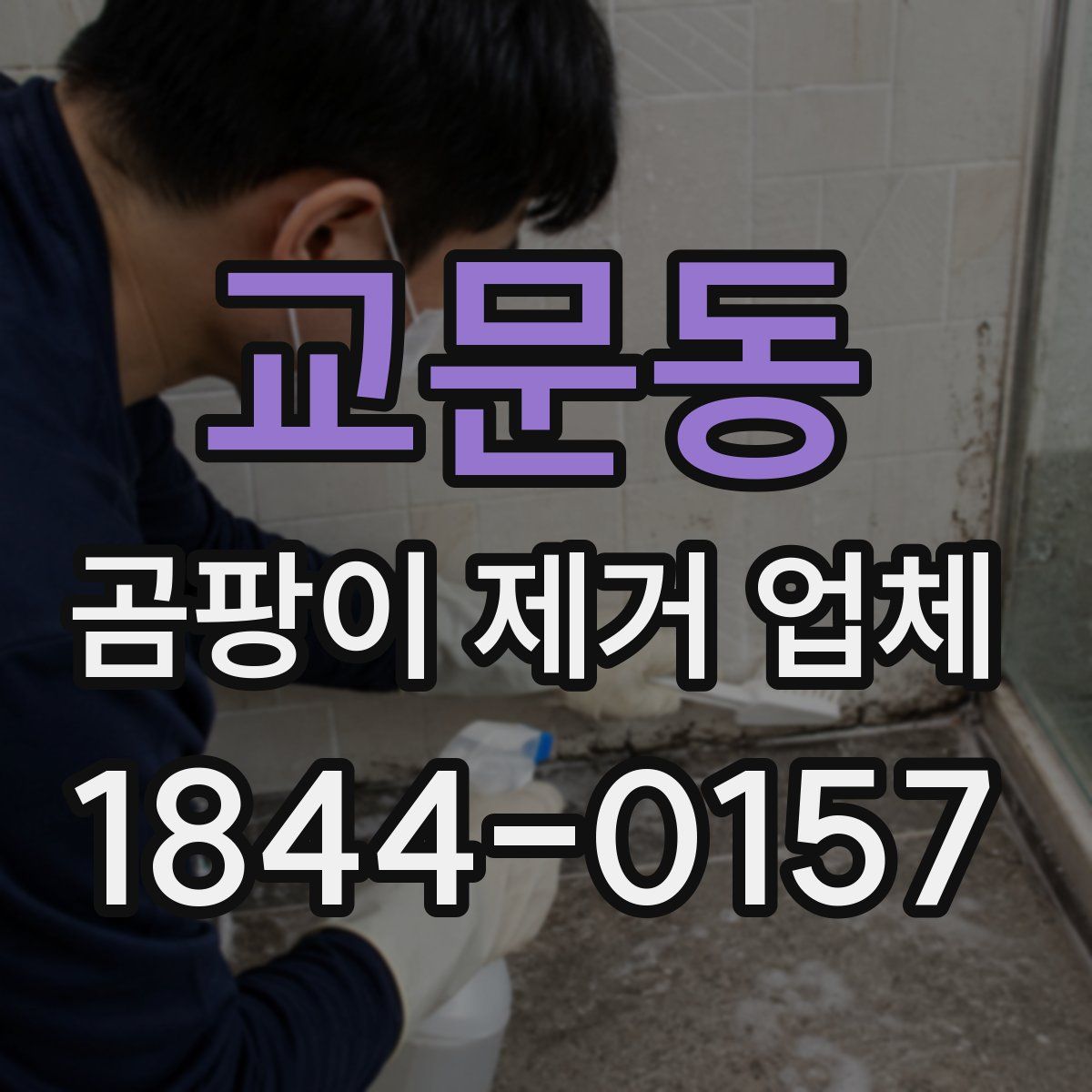 교문동 곰팡이 제거 업체