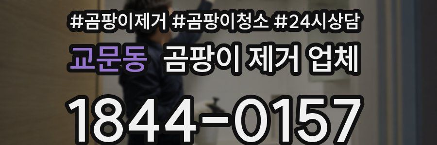 교문동 곰팡이 제거 업체