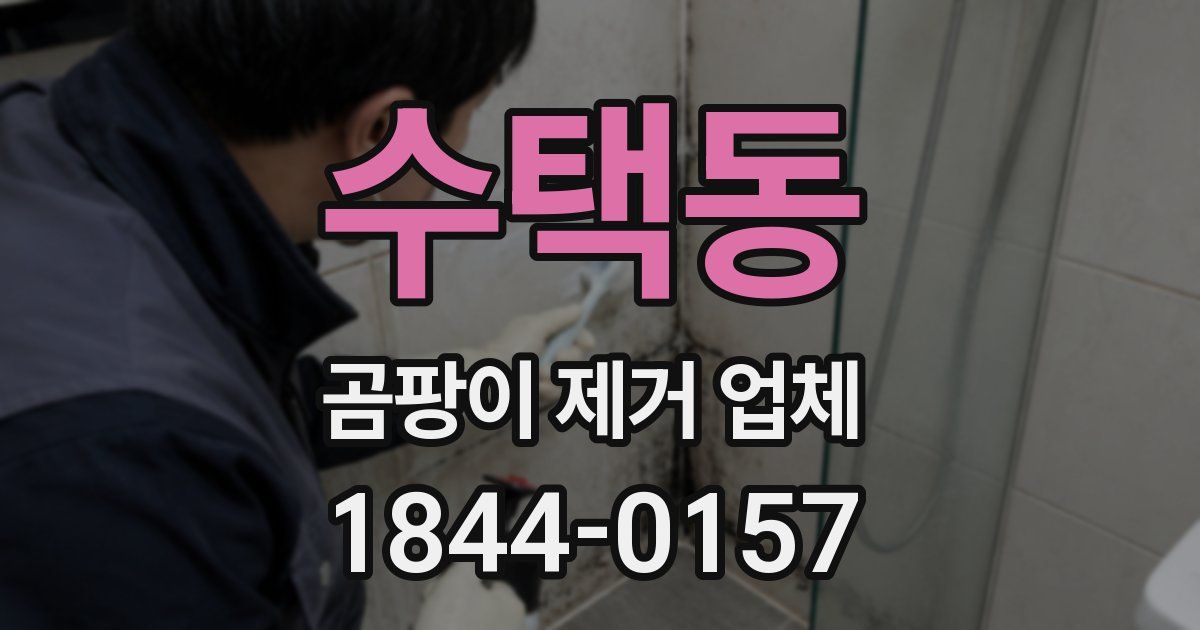 수택동 곰팡이 제거 업체