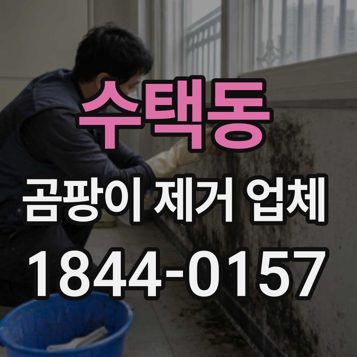 수택동 곰팡이 제거 업체