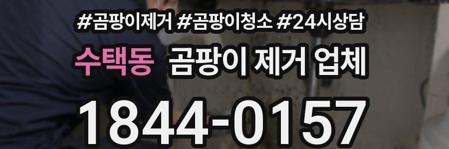 수택동 곰팡이 제거 업체