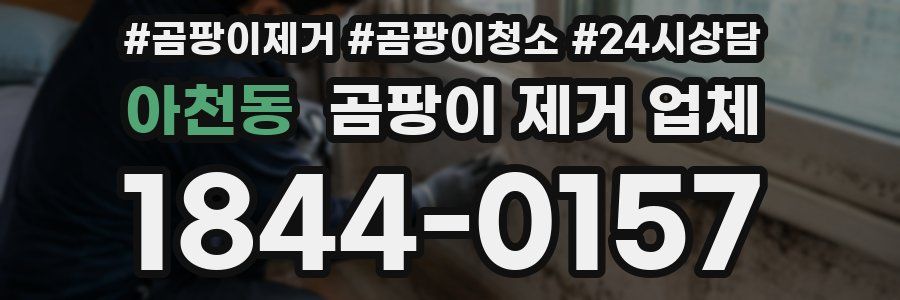 아천동 곰팡이 제거 업체