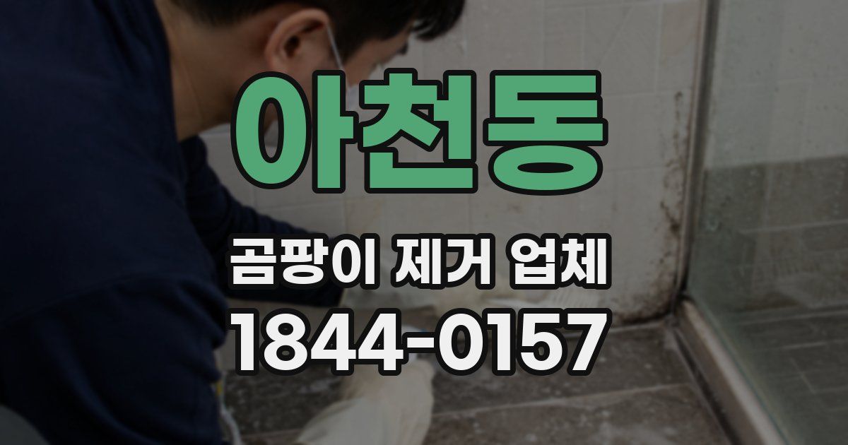 아천동 곰팡이 제거 업체