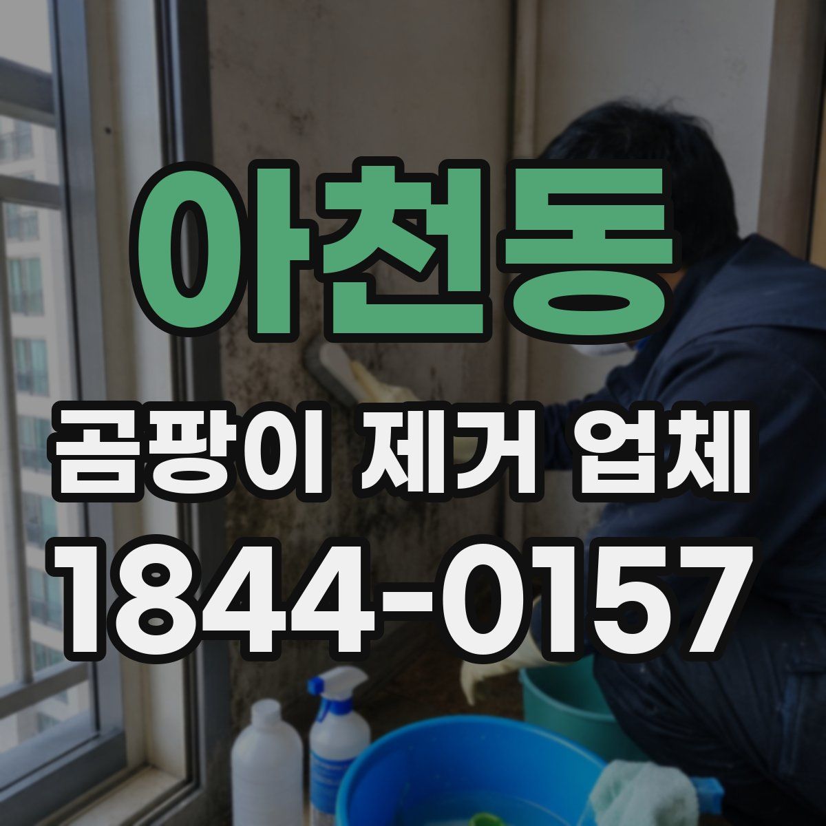 아천동 곰팡이 제거 업체