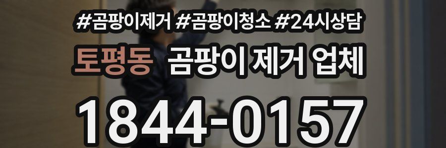 토평동 곰팡이 제거 업체