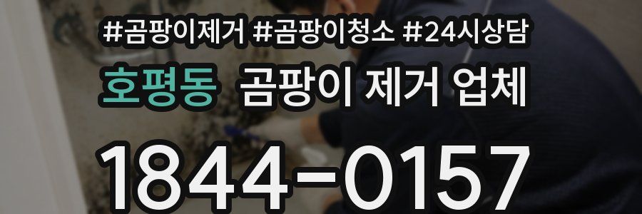 호평동 곰팡이 제거 업체