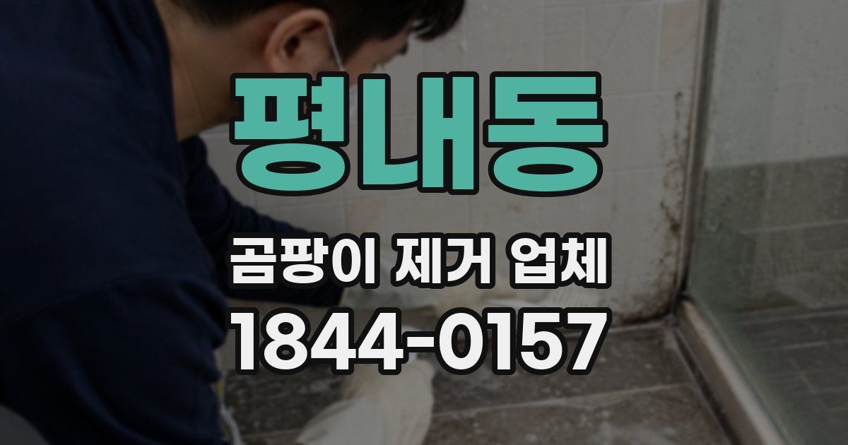 평내동 곰팡이 제거 업체
