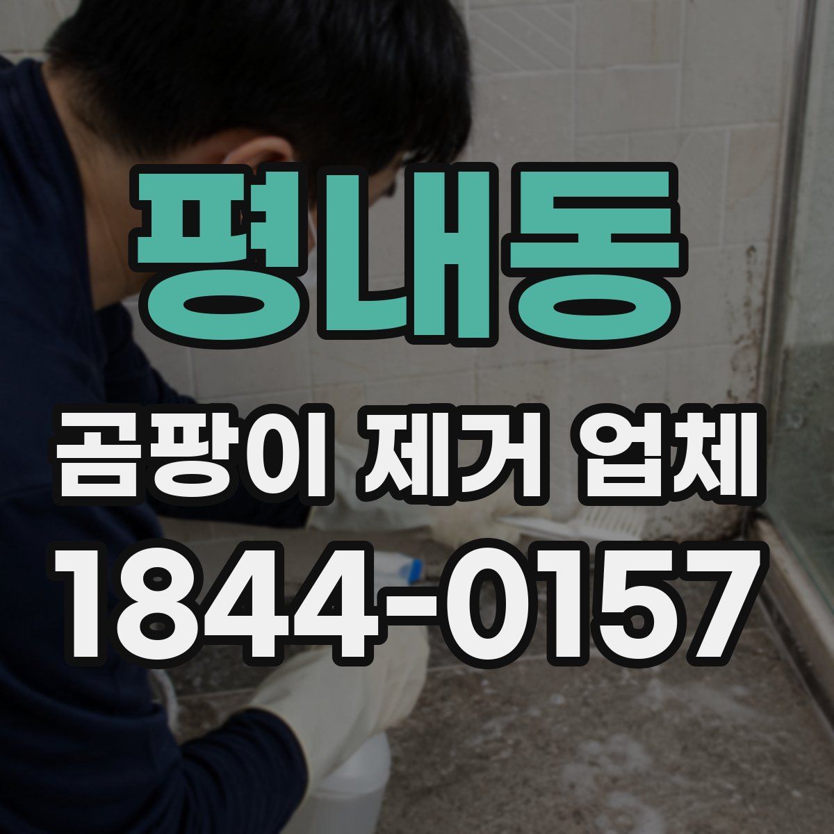 평내동 곰팡이 제거 업체