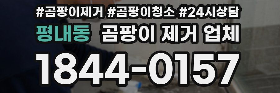 평내동 곰팡이 제거 업체