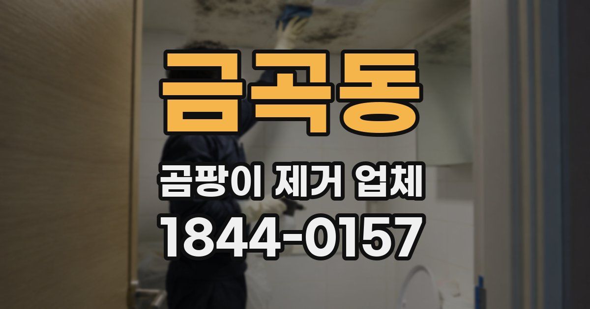 금곡동 곰팡이 제거 업체