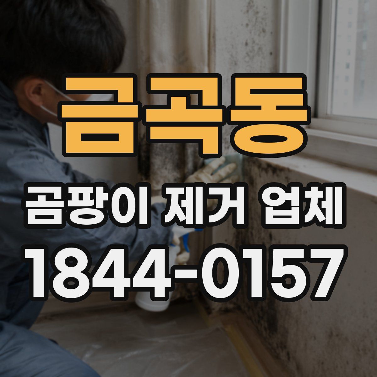 금곡동 곰팡이 제거 업체