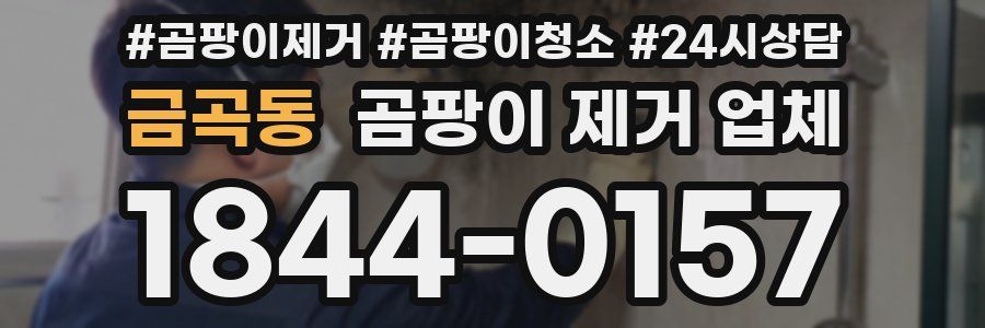 금곡동 곰팡이 제거 업체